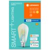 Inteligentna żarówka LED LEDVANCE Smart BTE60D 6W E27 Bluetooth Rodzaj Żarówka LED