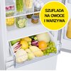 Lodówka SAMSUNG RB34T671EWW EF No frost 185.3cm Biała Położenie zamrażarki Na dole