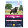 Karma dla psa EUKANUBA Senior Large Breeds Kurczak 3 kg Smak wiodący Kurczak