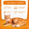 Karma dla kota BUTCHER'S Classic Delicious Dinners Kurczak z indykiem 85 g Opakowanie Puszka