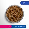 Karma dla psa PERFECT FIT Adult 1+ Kurczak 6 kg Smak wiodący Kurczak