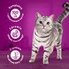 Karma dla kota WHISKAS Tuńczyk w galaretce 400 g Specjalne wymagania Układ moczowy