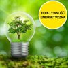 Lodówka GORENJE NRK6202CLI No frost 200cm Beżowa Kolor / wykończenie boków Beżowy