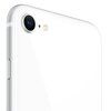 Smartfon APPLE iPhone SE 2020 64GB 4.7" Biały MHGQ3PM/A Model procesora Apple A13 Bionic