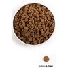 Karma dla psa ORIJEN Puppy Kurczak z indykiem 6 kg Smak Kurczak z indykiem