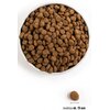 Karma dla psa ORIJEN Puppy Large Kurczak z indykiem i rybami 6 kg Smak Kurczak z indykiem i rybami
