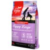 Karma dla psa ORIJEN Puppy Large Kurczak z indykiem i rybami 6 kg