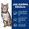 Karma dla kota HILL'S Prescription Diet Feline C/D Urinary Stres + Metabolic Kurczak 1.5 kg Typ Sucha