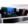 Telewizor LG 55A13LA 55" OLED 4K WebOS Dolby Atmos Przekątna ekranu [cal] 55