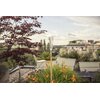 Deszczomierz GARDENA ClickUp 11340-20 Kod pocztowy 01-066
