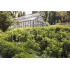 Deszczomierz GARDENA ClickUp 11340-20 Liczba sztuk w opakowaniu 1