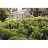 Domek dla owadów GARDENA ClickUp 11370-20 Miasto WARSZAWA