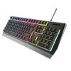Klawiatura GENESIS Rhod 300 RGB Komunikacja z komputerem Przewodowa