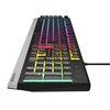 Klawiatura GENESIS Rhod 300 RGB Interfejs USB
