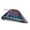 Klawiatura GENESIS Rhod 300 RGB Dla graczy Tak