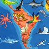 Puzzle RAVENSBURGER Mapa Świata ze zwierzętami (30 elementów) Seria Mapa Świata ze zwierzętami