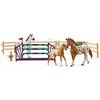 Zestaw figurek Zestaw Treningowy Rodzina rasy Appaloosa SCHLEICH 42433