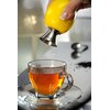 Wylewka do cytryny GEFU Citronello G-12485 Kolor Stalowy