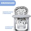 Krzesełko do karmienia CHICCO Polly Progres5 Czerwony Wysokość siedziska [cm] 64