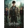 Puzzle RAVENSBURGER Harry Potter XXL (300 elementów) Typ Tradycyjne