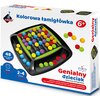 Gra logiczna ASKATO Genialny dzieciak Kolorowa łamigłówka 112473