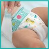 Pieluchy PAMPERS Active Baby Monthly Box 4 Maxi (180 szt.) Liczba sztuk w opakowaniu 180
