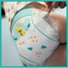 Pieluchy PAMPERS Active Baby Monthly Box 4 Maxi (180 szt.) Wchłanianie wilgoci do 12 godzin