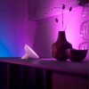 Lampa PHILIPS HUE White and Color Ambiance Bloom Biały Funkcje dodatkowe Sterowanie aplikacją