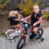 Rower dziecięcy SUN BABY Tiger Bike 16 cali dla chłopca Żółto-szary Kolory dostępne w ofercie producenta Żółto-szary