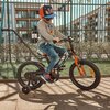 Rower dziecięcy SUN BABY Tiger Bike 16 cali dla chłopca Żółto-szary Waga [kg] 13