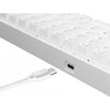 Klawiatura WHITESHARK Shinobi BS Biały Interfejs USB-C