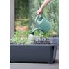 Miniszklarnia PROSPERPLAST Respana DREP770W 77 x 58 x 96.3 cm Antracytowy Obróbka Tworzywo sztuczne