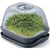 Miniszklarnia PROSPERPLAST Respana 410316 18.5 x 25.7 x 19.6 cm Antracytowy Rodzaj Miniszklarnia