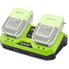 Ładowarka FIELDMANN FDUZ 79110 20V 2.4A Napięcie [V] 230
