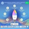 Inteligentna żarówka LED NOUS P4 4.5W E14 Wi-Fi Nowa klasa efektywności energetycznej F