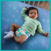 Pieluchy PAMPERS Active Baby 6 Extra Large (128 szt.) Rodzaj Pieluchy