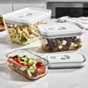 Zestaw pojemników na żywność ZWILLING 36803-003-0 Fresh & Save 3 szt. Pojemność [ml] 200