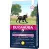 Karma dla psa EUKANUBA Puppy Large Breeds Kurczak 3 kg Smak wiodący Kurczak