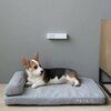 Pochłaniacz zapachów PETKIT Pura Air Kolor Biały