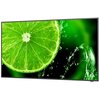 Monitor NEC MultiSync E558 55" 3840x2160px IPS Częstotliwość odświeżania obrazu [Hz] 60