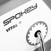 Rower magnetyczny SPOKEY Vital+ Ćwiczone partie mięśni Pośladki