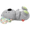 Maskotka FISHER PRICE Koala Usypianka-przytulanka GRT59 Typ Maskotka
