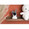 Niania elektroniczna ALECTO SmartBaby 10 Funkcje dodatkowe Nagrywanie wideo
