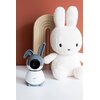 Niania elektroniczna ALECTO SmartBaby 10 Sygnalizacja włączonego zasilania Tak