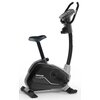 Rower magnetyczny KETTLER Axos Avior M Czarny Rodzaj roweru Pionowy