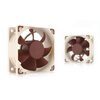 Wentylator NOCTUA NF-A6x25 PWM Podświetlenie Brak