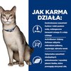 Karma dla kota HILL'S Prescription Diet K/D Kidney Care Łosoś 85 g Smak Łosoś