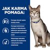 Karma dla kota HILL'S Prescription Diet K/D Kidney Care Łosoś 85 g Etap życia Dorosły