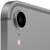 Tablet APPLE iPad mini 8.3" 6 gen. 256 GB 5G Wi-Fi Gwiezdna szarość Funkcje ekranu Multi-Touch