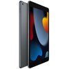 Tablet APPLE iPad 10.2" 9 gen. 2021 256 GB Wi-Fi Gwiezdna szarość Funkcje ekranu Jasność 500 nitów
